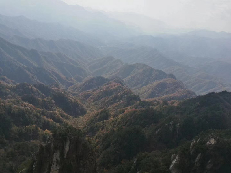 黄浦婚姻律师:夫妻一方婚前租住的房改房的权属认定