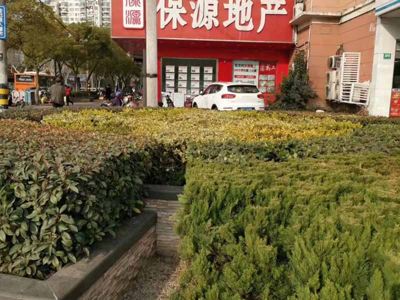 上海离婚财产分割律师讲解的老人财产分配协议书范文应该包含什么的法律知识